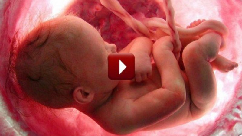 To wideo pokazuje, jak naprawdę wygląda 9 miesięcy ciąży. Coś poruszającego