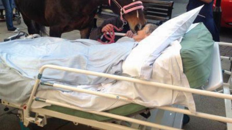 Umierającą kobietę wynieśli przed szpital,aby mogła spełnić swoje ostatnie życzenie