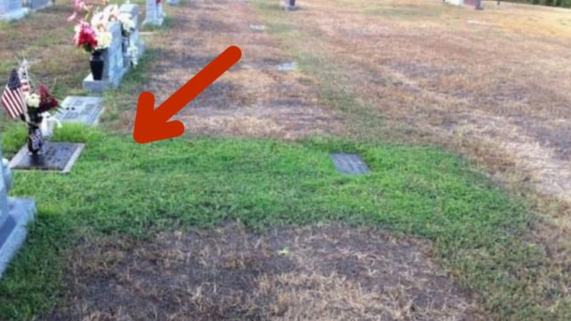 Nie wiedzieli, dlaczego trawa na grobie syna jest zielona w czasie suszy. Prawda ich wzruszyła
