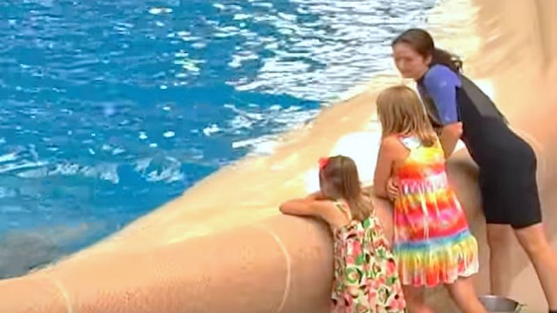 Siostry podchodzą do basenu z delfinami. W pewnej chwili trenerka przerywa show i każe im biec