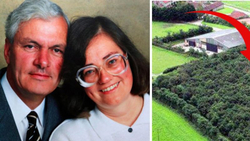 Mężczyzna zasadził 6000 drzew dla zmarłej żony. Dopiero po 17 latach jego tajemnica wychodzi na jaw.