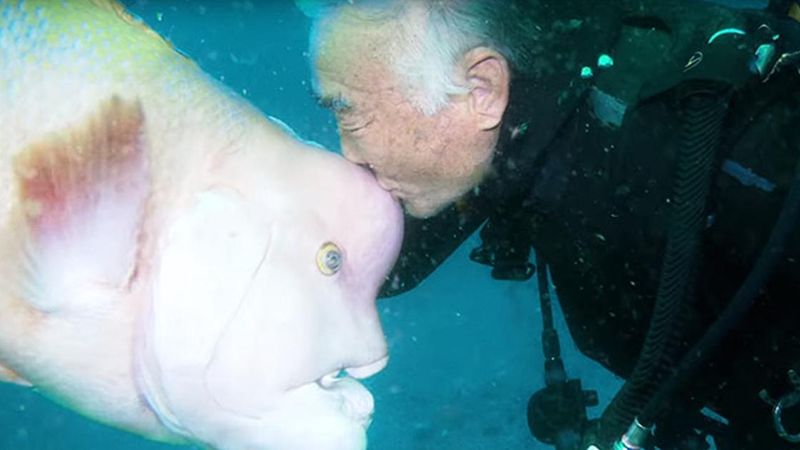 Od ponad 25 lat codziennie odwiedza przyjaciela pod wodą. Ich przyjaźń wzruszy każde serce!