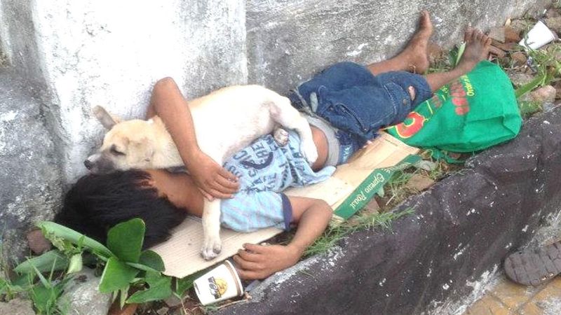 11-letni chłopiec mieszka na ulicy razem z psem. Codziennie żebrze o pieniądze na ważny cel
