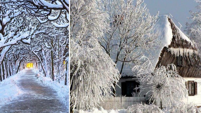 35 bajkowych zdjęć, które pokazują jak piękna potrafi być nasza polska zima. Prawdziwa magia!