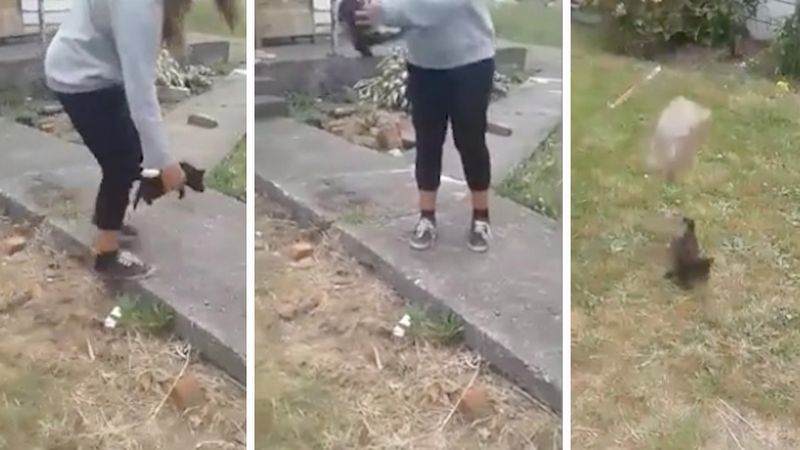 Podniosła kotka i rzuciła nim o ziemię. Po chwili celowała w niego kawałkiem betonu