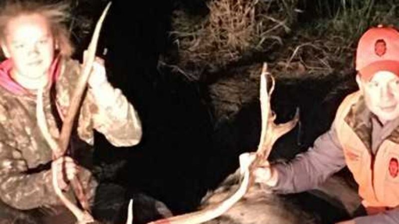 14-latka zastrzeliła chronione zwierzę. Była przekonana, że jest to jeleń