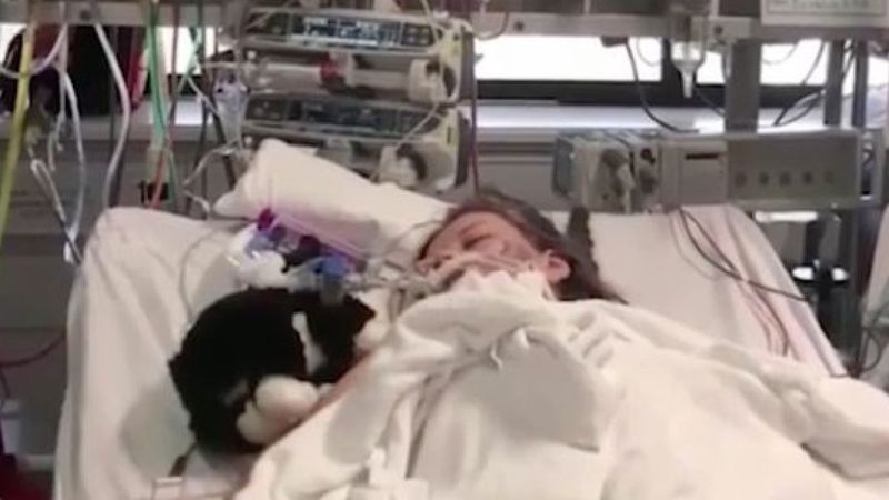 14-latka leżąc w szpitalnym łóżku błagała swoją mamę, aby pozwoliła jej umrzeć