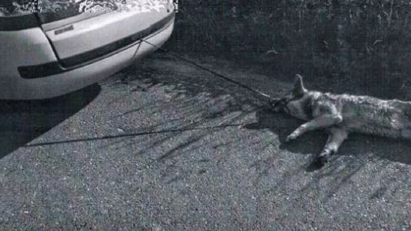 72-latek ze Śląska ciągnął psa przywiązanego do samochodu. Nie chciał, żeby ubrudził wnętrze auta