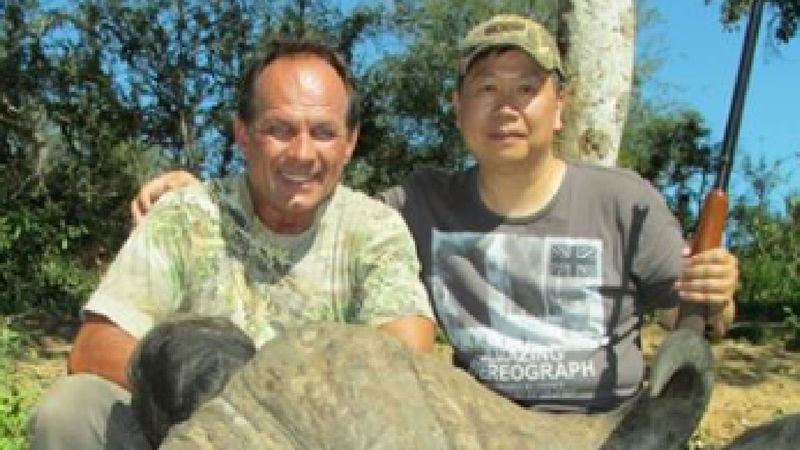 54-latek zabił bawoła podczas polowania. Karma w jego przypadku była wyjątkowo okrutna