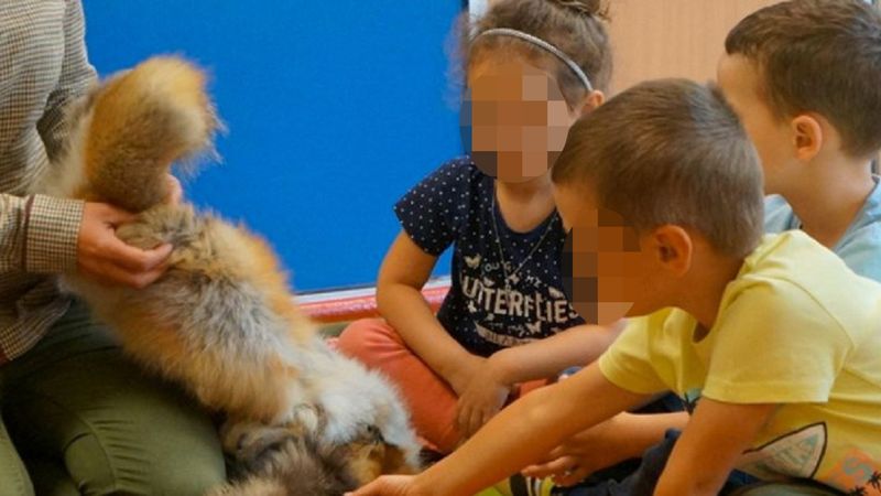 Przedszkolanki kazały głaskać dzieciom martwe zwierzęta i pozować z nimi do zdjęć