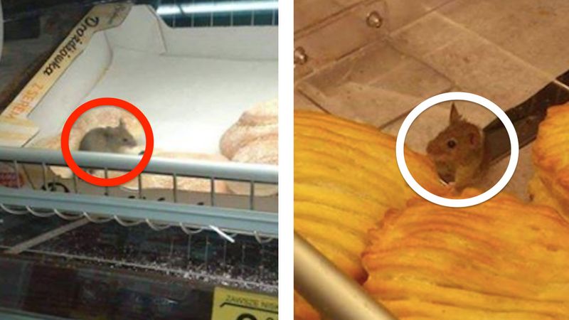 Na półce z ciastkami w Biedronce zauważył myszy. Zdjęcia potwierdzające to wrzucił do sieci