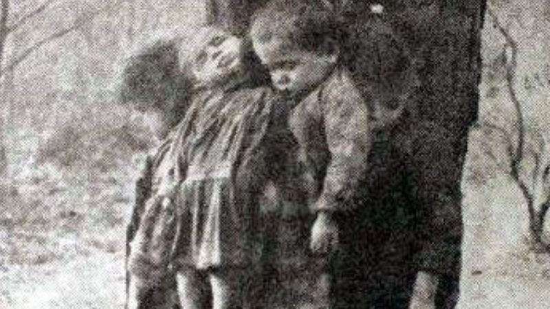 Zosia, Antoś, Bronia i Stefan zostali powieszeni w lesie na drzewie przez własną matkę