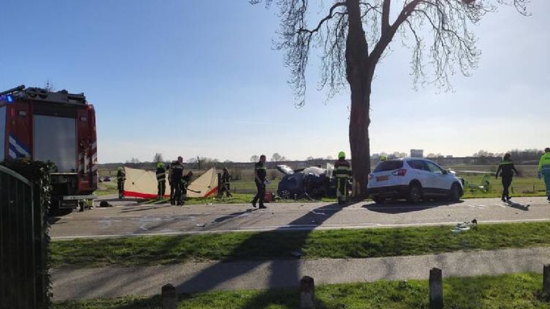 Tragiczny wypadek w Holandii. Samochód, którym jechali Polacy uderzył w drzewo