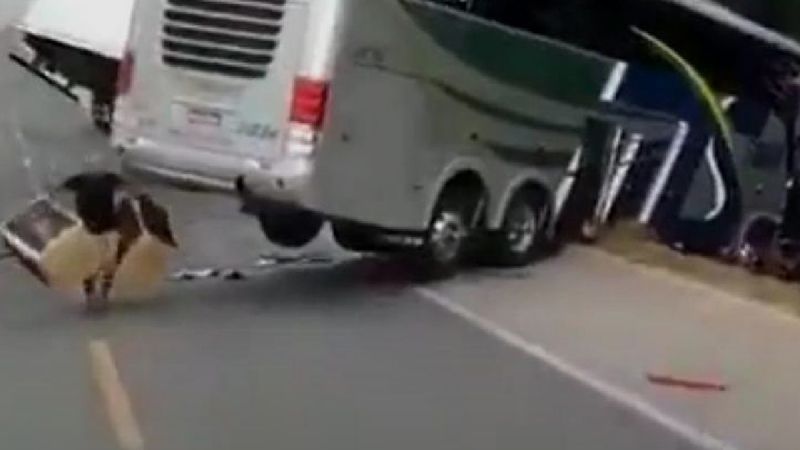 Autobus zderzył się z ciężarówką. Świadkowie nie pomogli rannym, a zachowali się skandalicznie