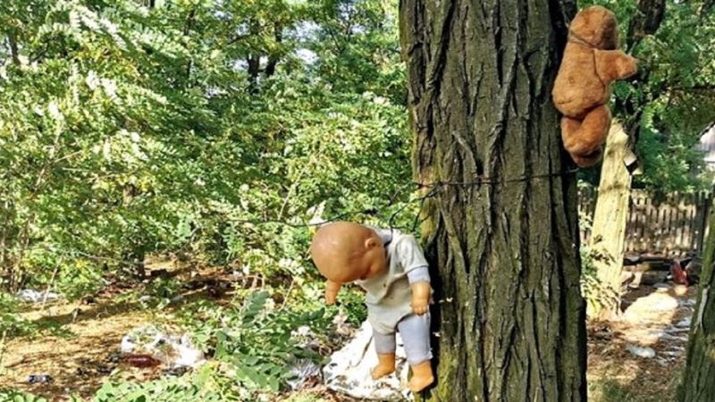 Tajemnicze lalki przywiązane do drzew w lesie pod Kaliszem. „Wyglądają jak z horroru”