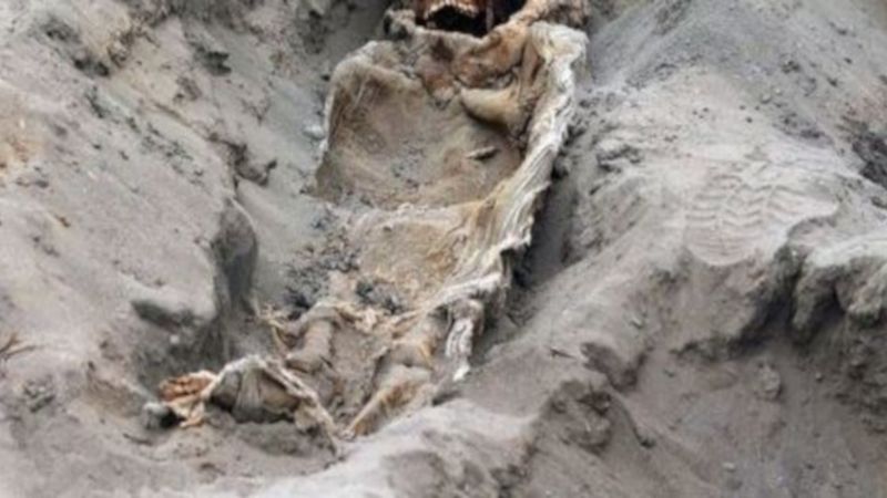 Przerażające odkrycie archeologów. Znaleźli szczątki 227 dzieci