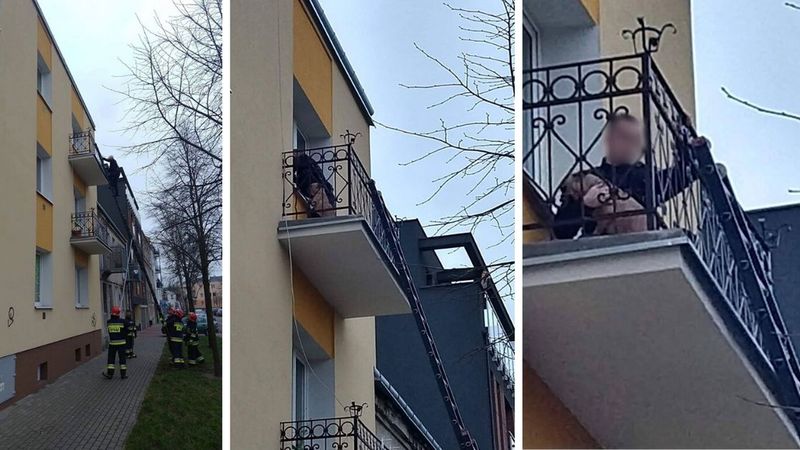 Pies zamknięty na balkonie