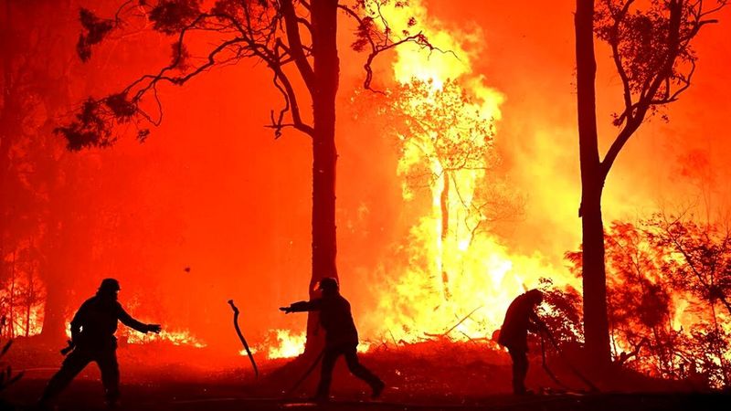 Pożary w Australii: „Wygląda na to, że Australijczycy sami podpalają busz”