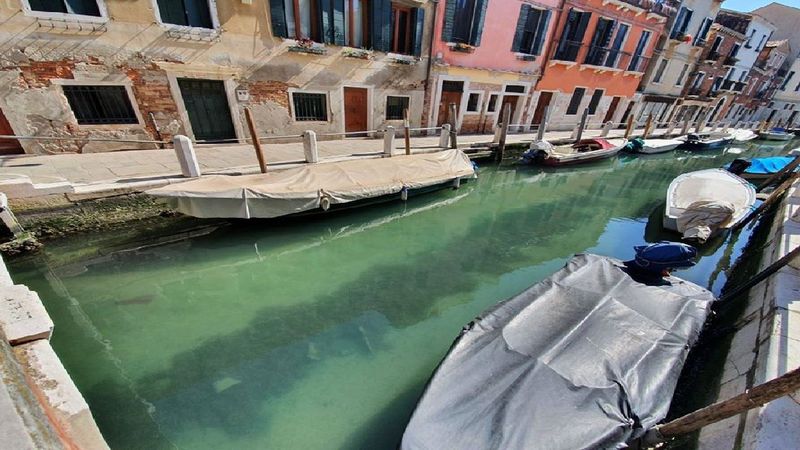 Woda w kanałach w Wenecji zmieniła kolor