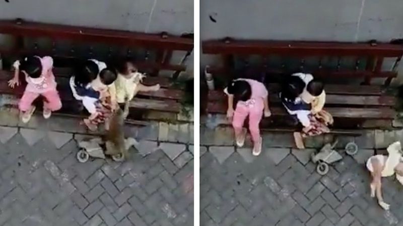 Małpa próbowała porwać dziecko! Nietypowe nagranie z Indonezji podbija sieć