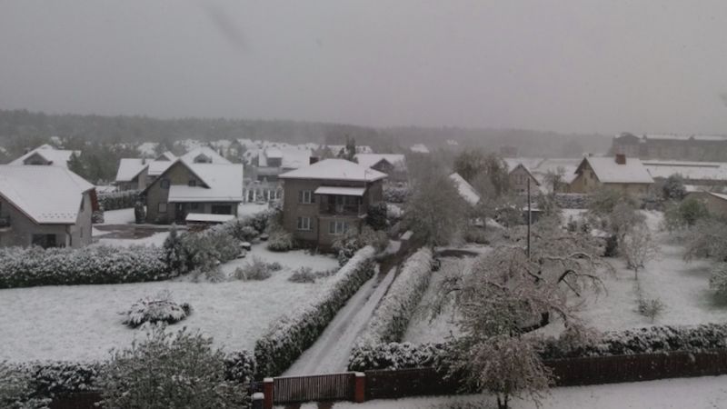 W nocy w Polsce spadł śnieg! „Prawdziwa zima w maju?”