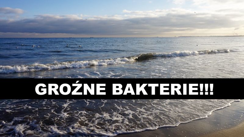 Groźne bakterie w Bałtyku. Kąpiel może mieć fatalne skutki