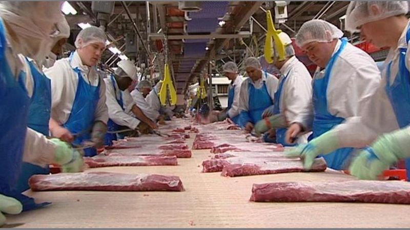 masowe zakażenie koronawirusem w fabryce mięsa