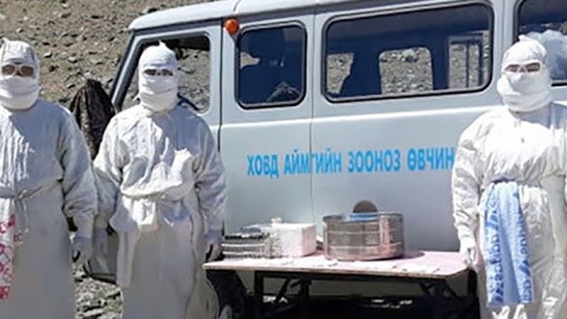 epidemia dżumy w Mongolii