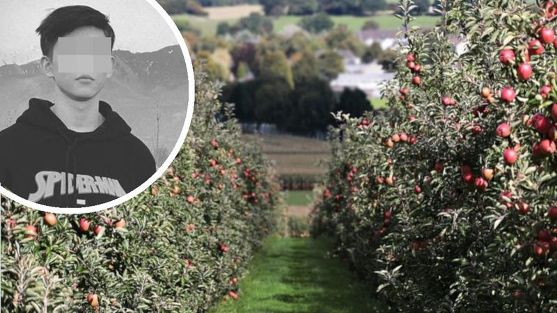16-latek zastrzelony podczas zbierania jabłek. Sprawca twierdzi, że się pomylił