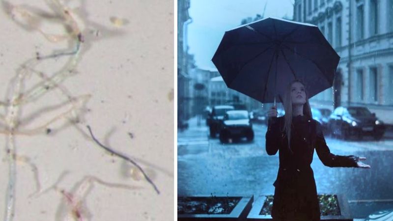 Pada na nas deszcz z mikroplastiku. Przerażające odkrycie naukowców