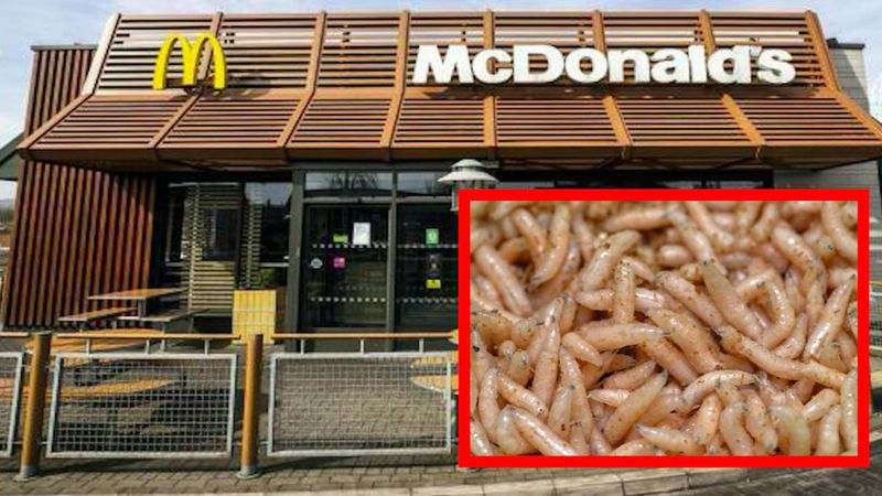 Horror w restauracji McDonald's