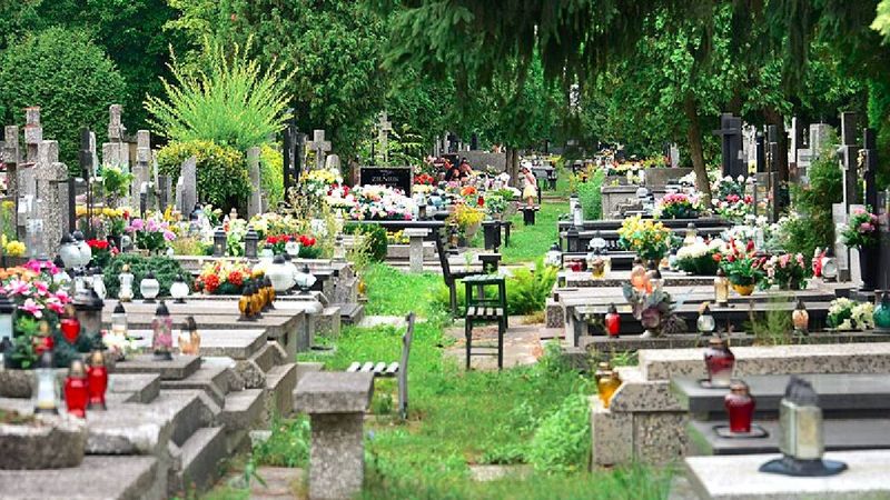 skandal na cmentarzu po pogrzebie