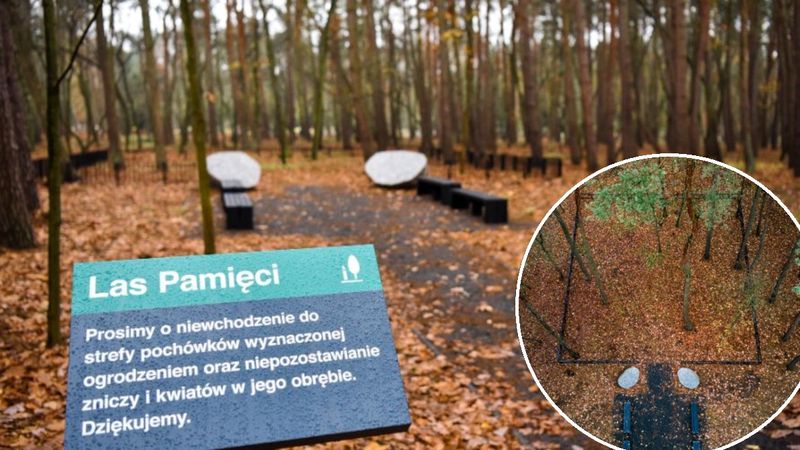 Tanie ekologiczne pogrzeby w Poznaniu. Miejsce w kwaterach nigdy się nie skończy