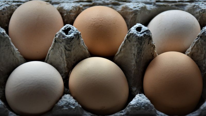 Przy zakupie wiele osób zwraca uwagę na kolor skorupki jaja. Uważają, że ma on duże znaczenie