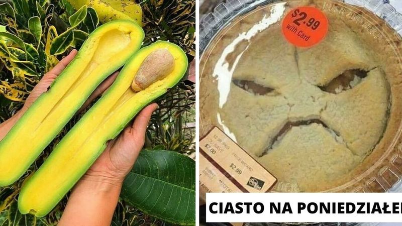 21 lekko niepokojących i zabawnych zdjęć jedzenia, jakie znaleźliśmy w internecie
