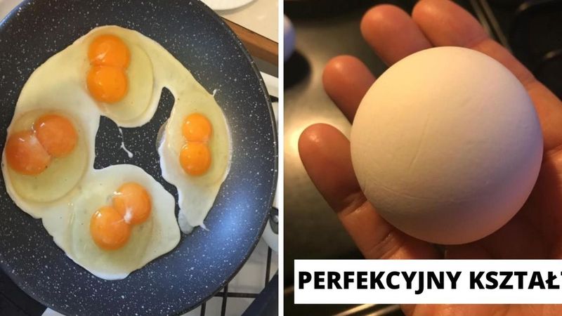 14 najdziwniejszych jajek, jakie widzieliśmy. Nawet one płatają figle