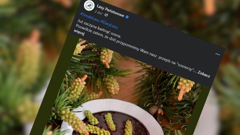 Pachną lasem i stawiają opór zębom. Leśnicy się nimi zajadają przez cały sezon