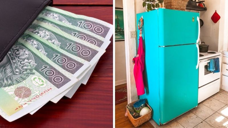 Sprawdź szczelność swojej lodówki za pomocą banknotu. To naprawdę działa!