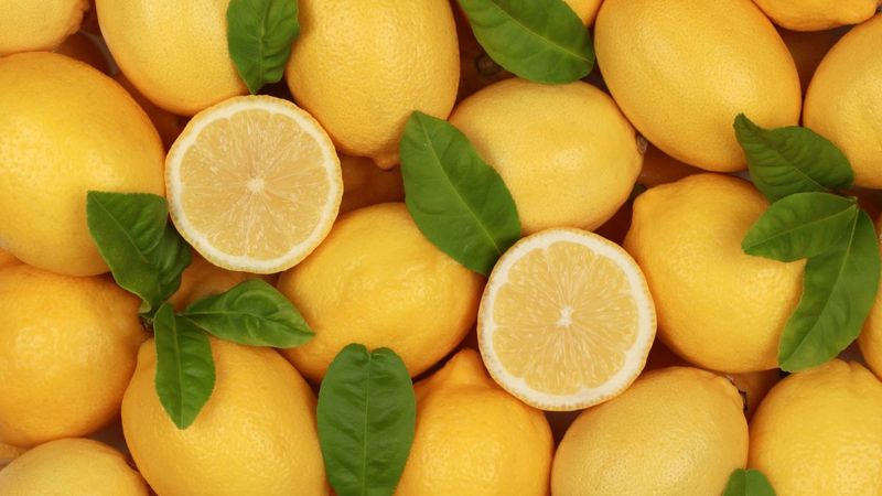 Jak przechowywać cytryny, aby zachowały świeżość i aromat na dłużej?