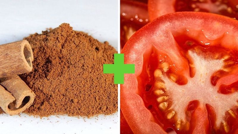 Jakie przyprawy do pomidorów – mini ściąga