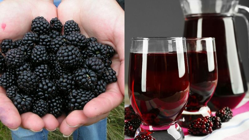 Sok z jeżyn – najlepszy przepis. Jak zrobić ten owocowy przysmak?