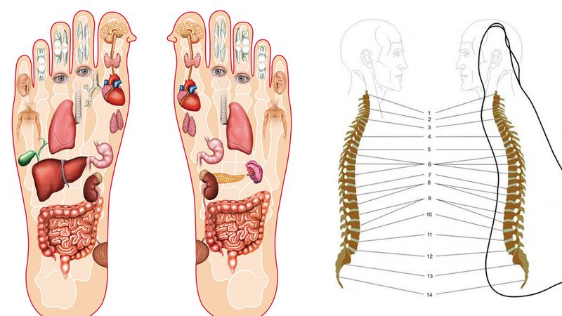 6 niezwykłych faktów o refleksologii stóp. Możemy wyczytać z nich stan naszego zdrowia!
