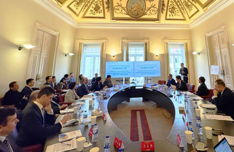 chińscy producenci europa grupa robocza