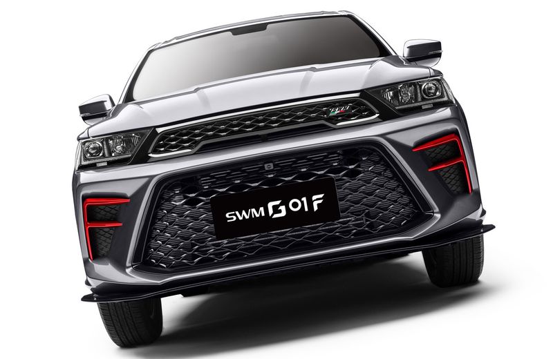 swm g01f
