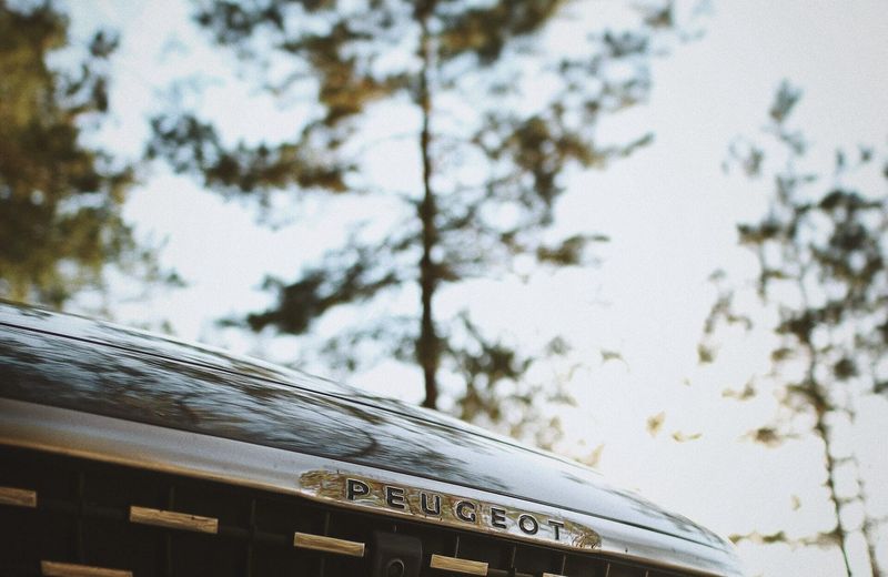 peugeot logo