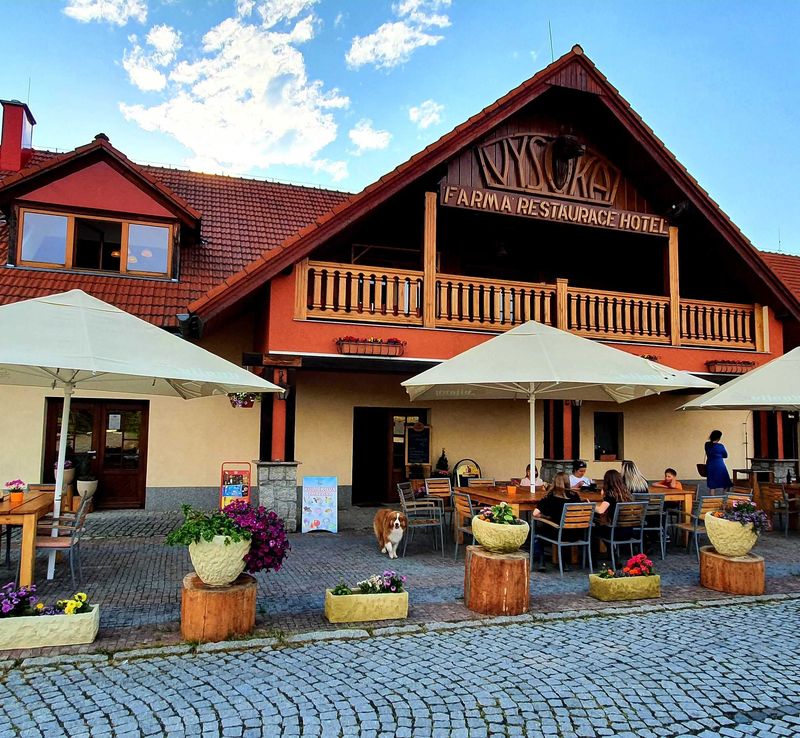 Hotel Farma Vysoká Chrastava - foto 1