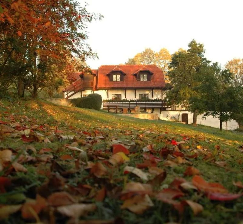 Penzion Dvůr Netolice - foto 1