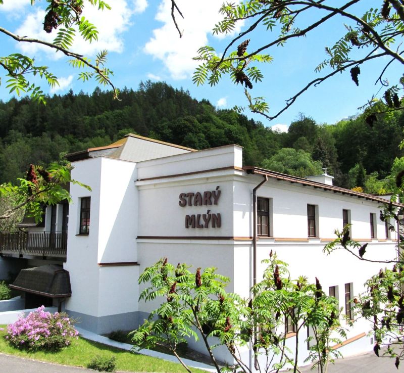 Hotel Starý Mlýn Železný Brod - foto 1