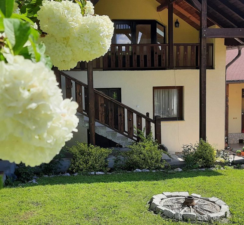 Casa de oaspeți Cifra Sâncraiu - foto 1