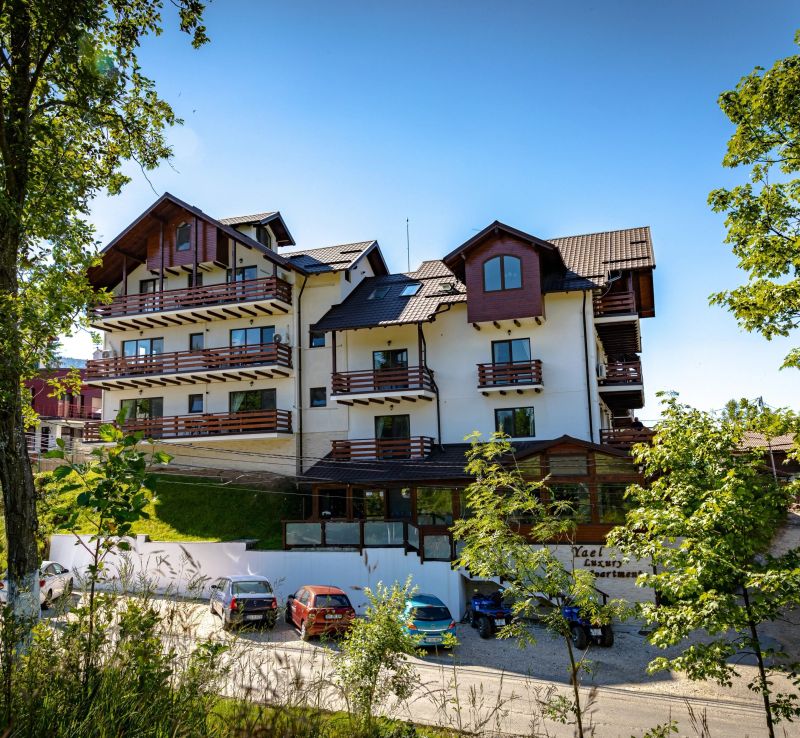 Yael Luxury Apartments 2 Bușteni - foto 1